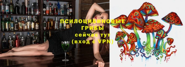 мдпв Балабаново